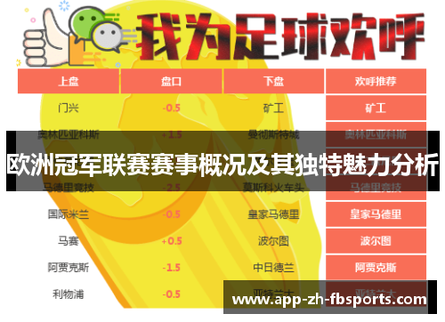 欧洲冠军联赛赛事概况及其独特魅力分析